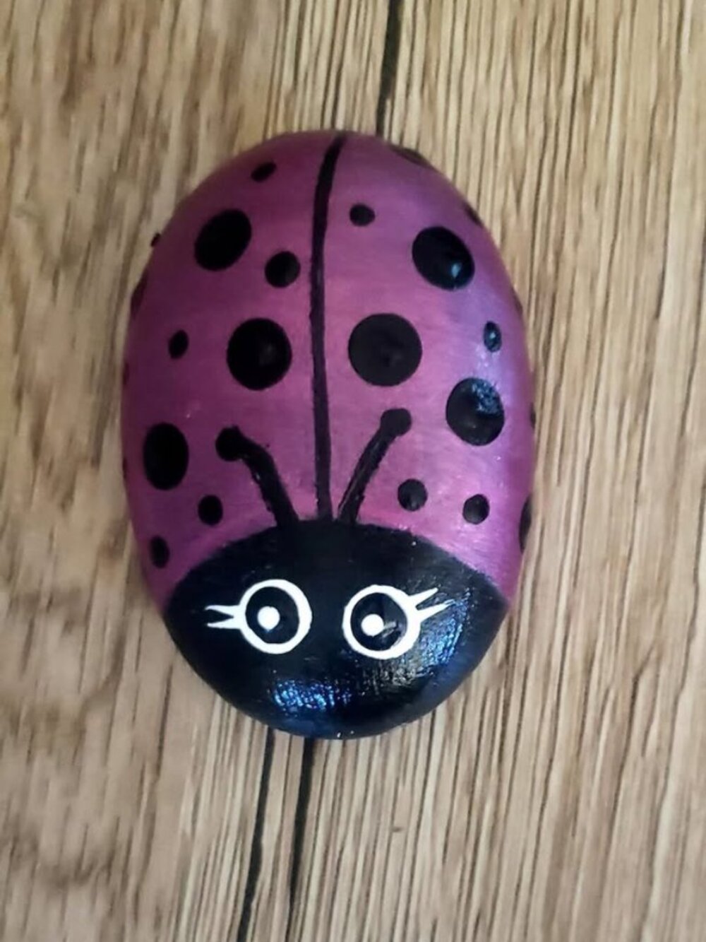 Hand painted ladybug kindness rock